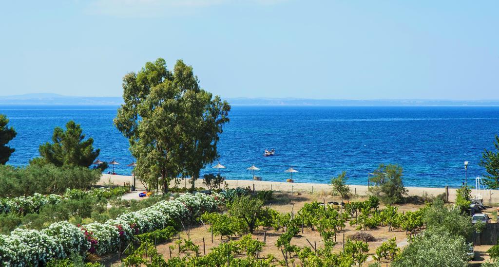 Coral Blue Beach Hotel Gerakini Dış mekan fotoğraf