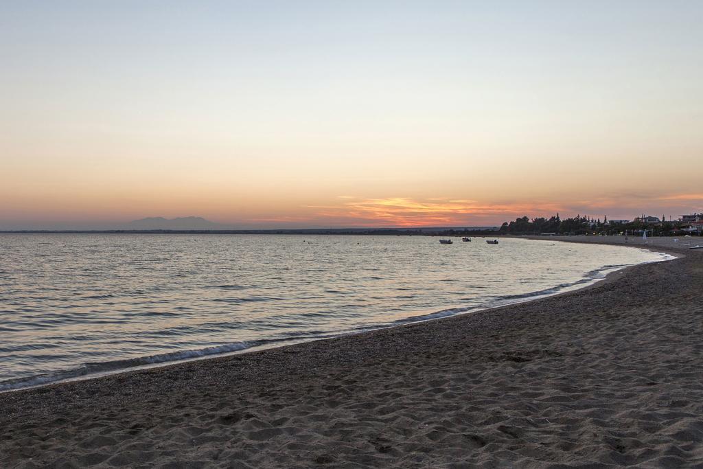 Coral Blue Beach Hotel Gerakini Dış mekan fotoğraf